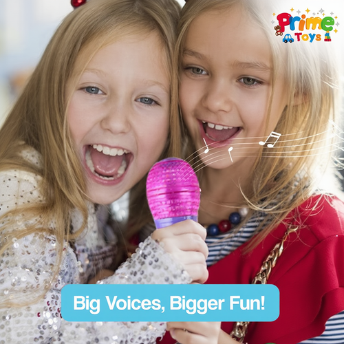 Complete Karaoke Mic Set with LED Stand