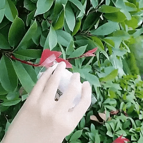 The Toy That Turns Your Kids